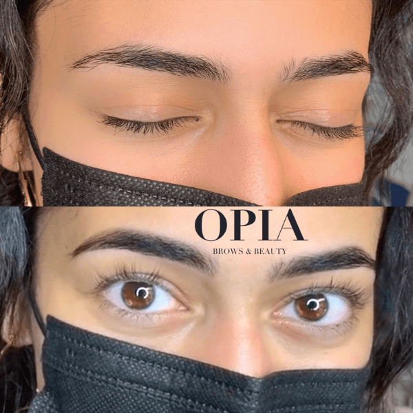 Henna tinting on beautifully shaped brows, on dark haired woman