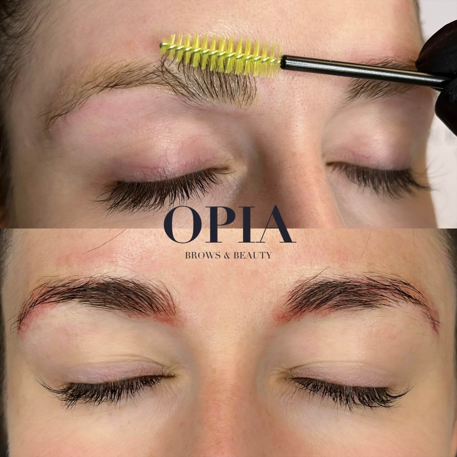 Brow Lamination and tint on a blond haired woman